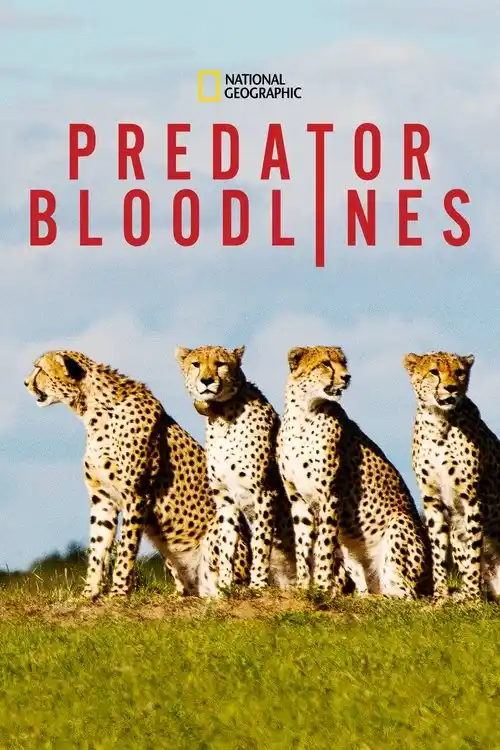 Download Predator Bloodlines (2021) Season 1 Hindi Complete DSNP WEB Series 480p | 720p HDRip 21 predator bloodlines 2021