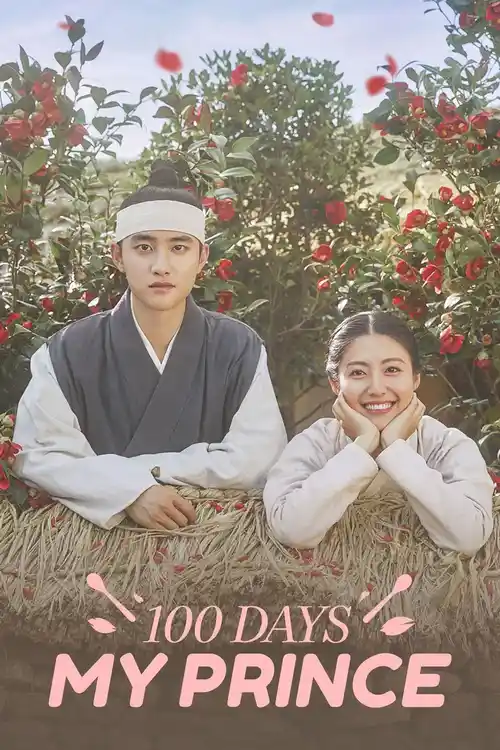 Download 100 Days My Prince (Season 1) Dual Audio {Hindi Korean} Series 480P 720P & 1080P Web Dl 12 100 days my prince season 1